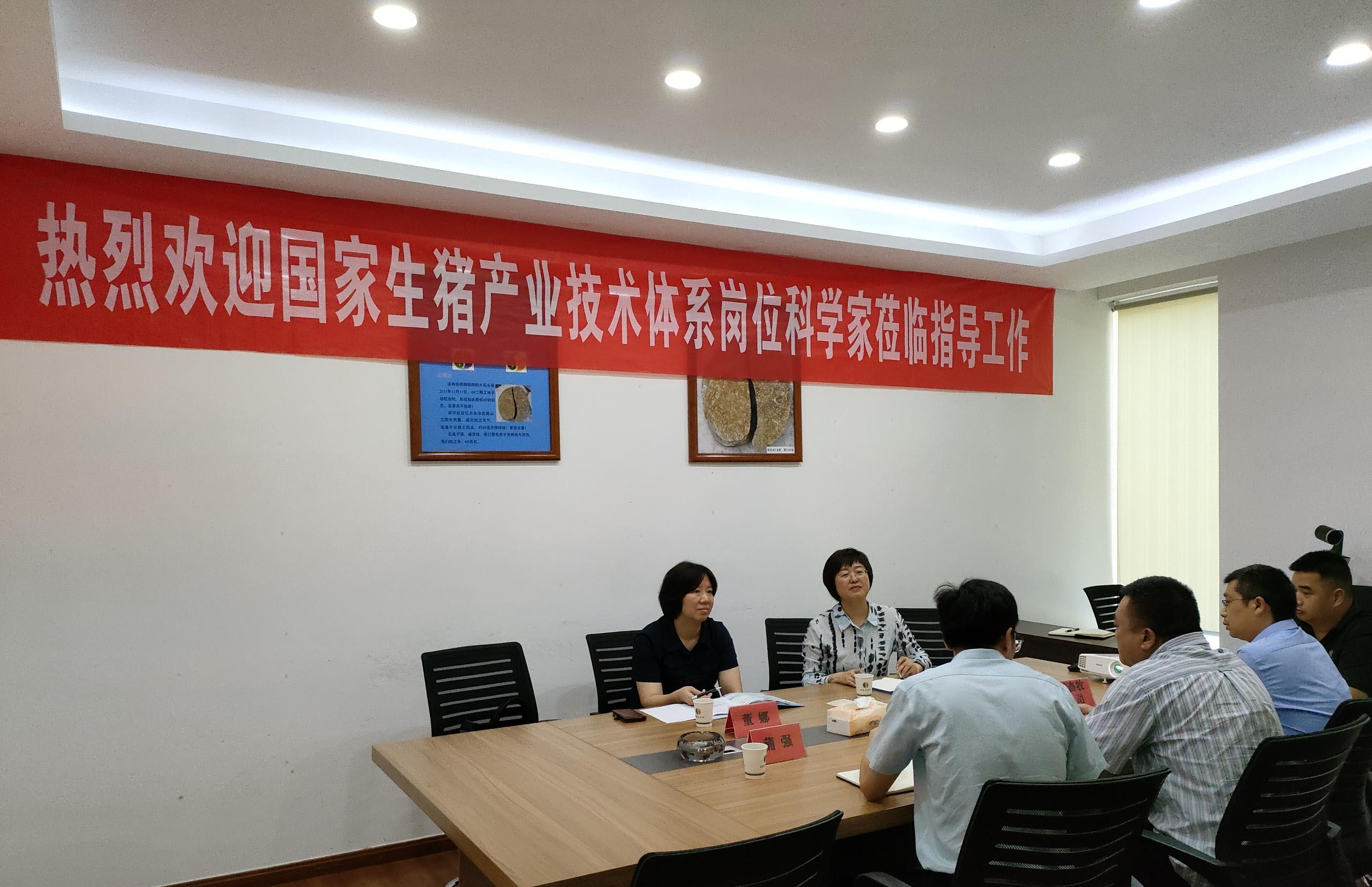 專家指導促發(fā)展  砥礪前行正當時<br/>---國家生豬產業(yè)技術體系崗位科學家來我司指導交流